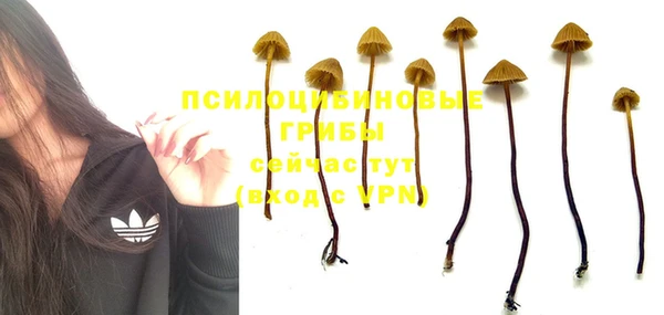 прущие крисы Балабаново