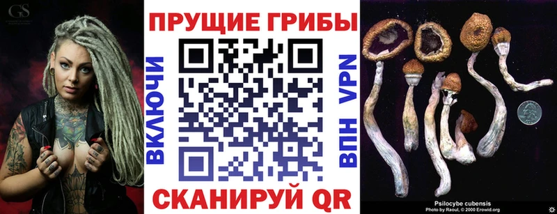 Псилоцибиновые грибы Psilocybe  Купить где  Дальнегорск 